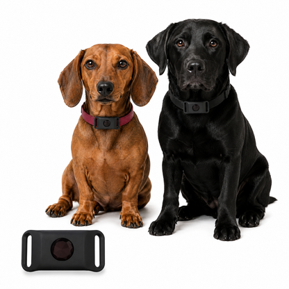 Pettiko Flea & Tick Guard Tag